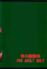 (C74) [Yoru no Benkyoukai (Fumihiro)] Hayate no Hon 2 (Mahou Shoujo Lyrical Nanoha)