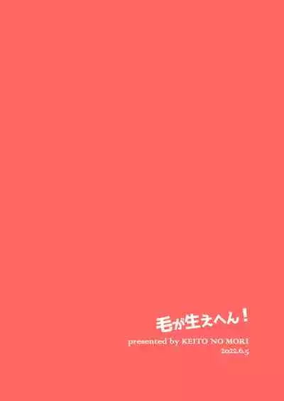 [Keito no Mori (Wool)] Ke ga Gaehen!丨为什么没长毛！ [Chinese] [海棠零个人汉化] [Digital]