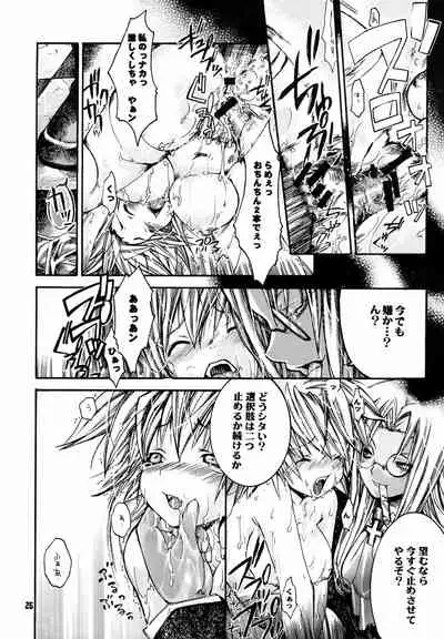 (C63) [Seinansei ni Kagayakeu Hoshi (Morino Papiko)] Shuuen no Nai Yoru o Mukaete (Hellsing)