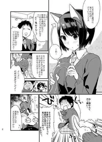 Bousou Kanojo ga Yaritangari