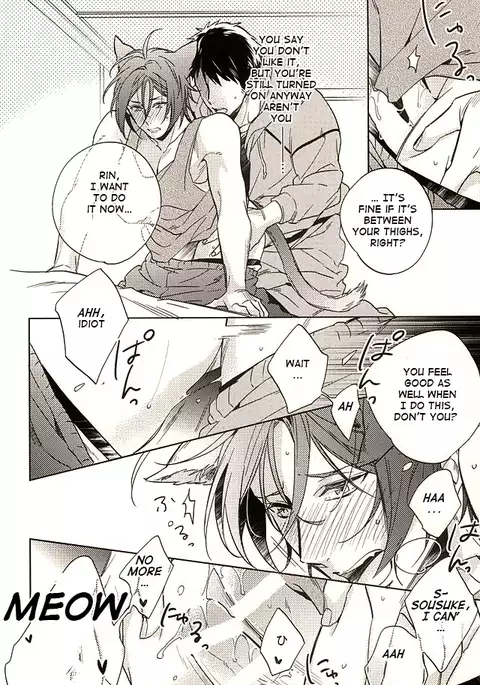 Neko to Souuke |Cat and Sosuke