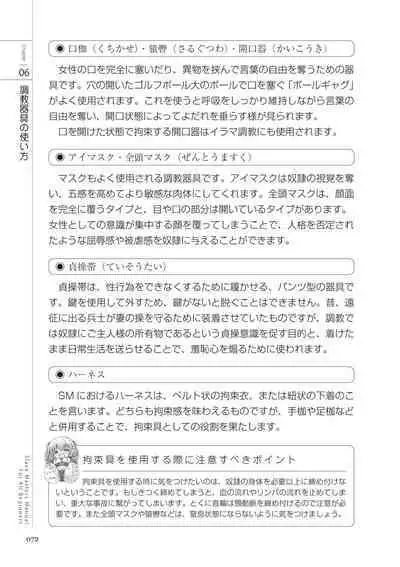 Zero kara Hajimeru SM Manual Kawaii Dorei Shiikujutsu