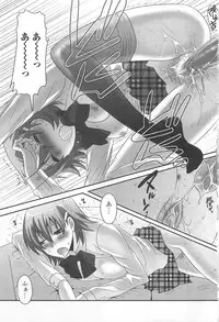 [Palco Nagashima] Otokonoko Renaissance