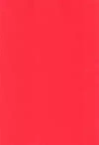 (C94) [Takeritake Daishuukakusai (Echigoya Takeru)] Ore no Douki ga Onna datta Rashii (Hunter x Hunter) [Chinese] [沒有漢化]