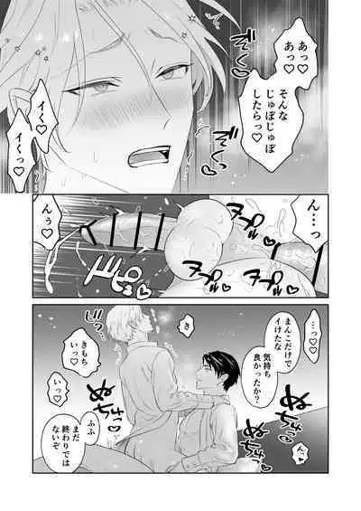 Shoushin Ouji o Nagusameru Houhou