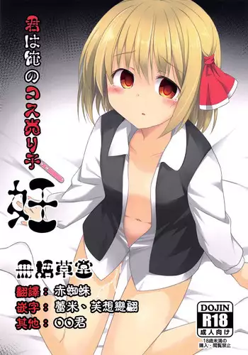 (C94) [Tonzura Douchuu (Kazawa)] Kimi wa Ore no Rumia (Touhou Project) [Chinese] [冊語草堂]