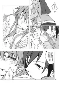 (C85) [HB (Futoo)] Wunsch (Senki Zesshou Symphogear) [Chinese] [假良假影个人汉化]