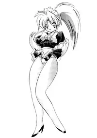 Bishoujo Doujinshi Anthology Cute 2 (Fancy Lala, Yu Yu Hakusho, Kakyuusei, To Heart, Card Captor Sakura)