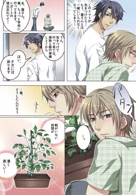 Celeb, Kai Hajimemashita ~Tomato Kareshi no Tsukurikata~