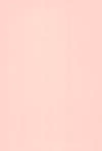 (C66) [Yanasegawabeya (KIYOSE, Akai Lapis)] THE SUZI Sono Suzi no Hon (Various)