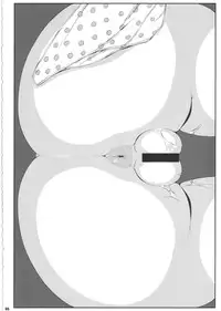 (C85) [Watosato (Sugiura Sen)] Ketsu DarakeTouhou Soushuuhen Series 2 (Touhou project)