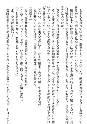 年上メイドの新婚日記
