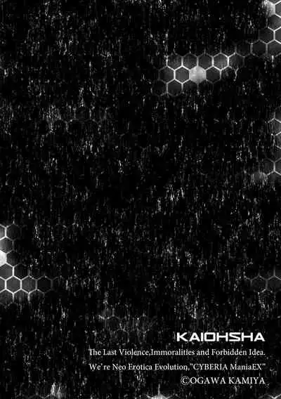 Kare ni mo Ienai Iinchou no Himitsu