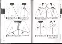 Now you can do it! Illustrated Tied How to Manual (SANWA MOOK light maniac Guide Series)