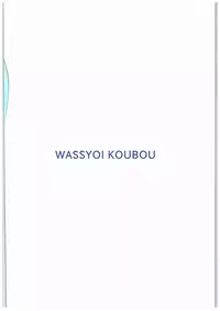 (C89) [Wasshoi Koubou (Hayami Sakura)] Youkai Shoujo no Aishikata 2 (Touhou Project)