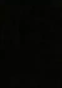 (C92) [Ikechika (Ikeshita Maue)] Intou no Susume (Fate/Grand Order) [Chinese] [沒有漢化]