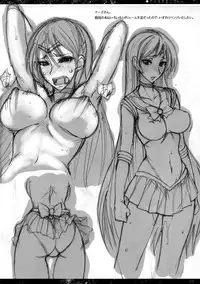 (C76) [Majimeya (Isao)] Getsukasui Mokukindo Nichi 3 (Sailor Moon)