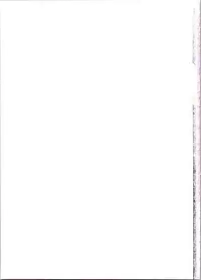 (C97) [kozakoza (Kozato Miho)] Lina Inverse Juu Shinkan ni NTR Kairaku Ochi | 莉娜・因巴斯被獸神官NTR墮入快樂 (Slayers) [Chinese]