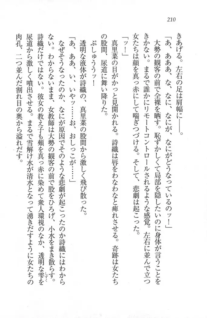 解放区~痴漢ハーレム
