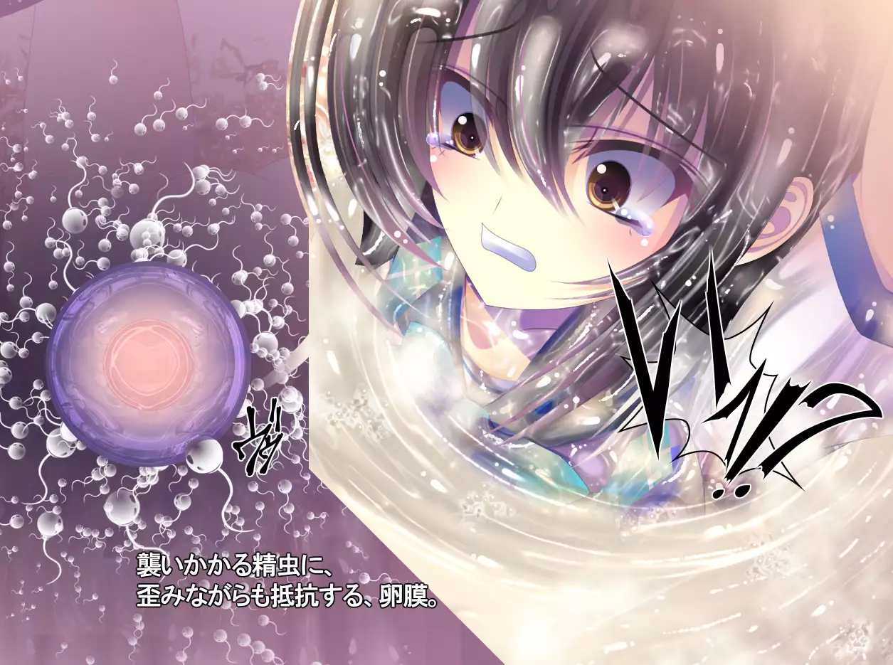 yabure, bakunyu chochichi naedoko ni, benki ni Daraku To sa reru hiroin!~ Hime ￮ setsuna ~