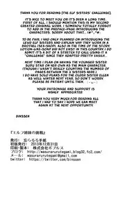 (C85) [Wasuraruru Tegami (Binsen)] Elf Shimai no Chousen | The Elf Sisters' Challenge [English] [Mistvern]