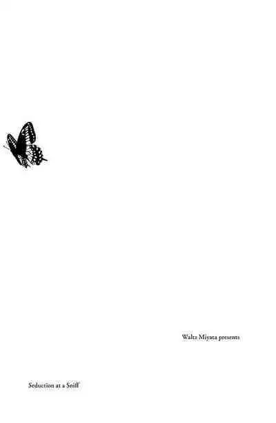 Ohimesama no sonzai igi | 公主殿下存在的意义