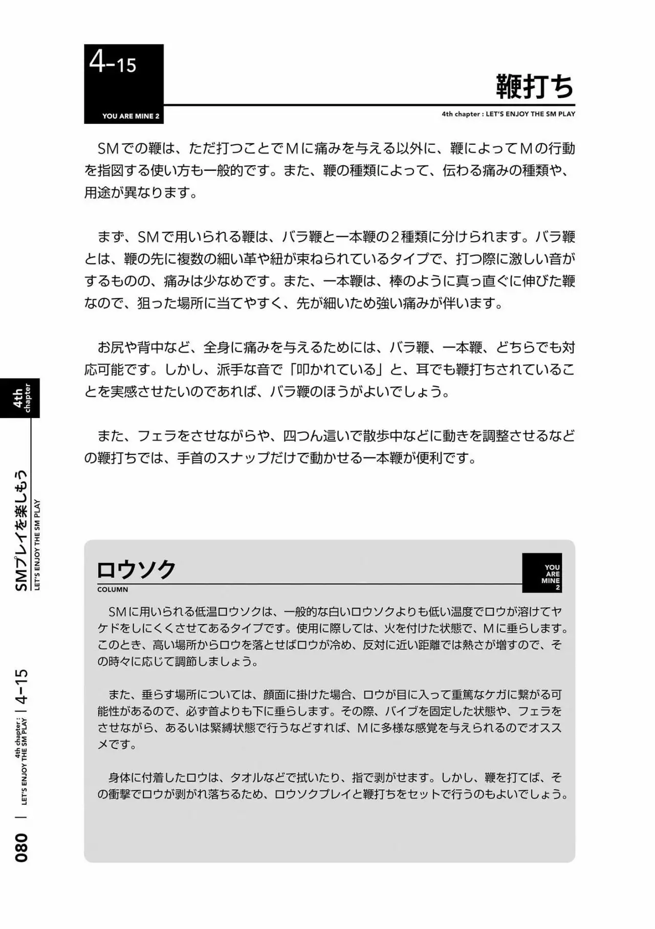 Karada mo Kokoro mo Boku no Mono ~Hajimete no SM Guide~ 2