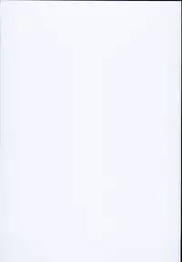 (C93) [Armament Calcium (Take Calcium)] Majo Kyousei Chijo (Touhou Project)