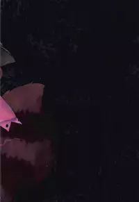 (C92) [Gauloises Blue (Amano Chiharu)] Ichiya Ichiyou no Yumeotogi (Touhou Project) [Chinese] [脸肿汉化组]