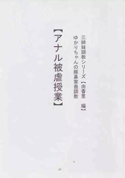 (C78) [Nekoneko Panchu! (Nekoneko Panchu)] Sanshimai Choukyou Yuugi [Yukari Hen] Yukari-chan no Butabana Kachiku Choukyou [Anal Higyaku Jugyou]