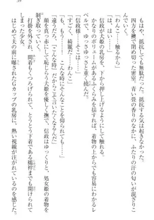 戦国犬姫!