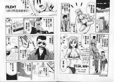 Chousa File H - Investigation File