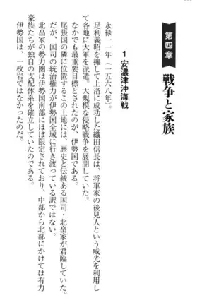 戦国犬姫!