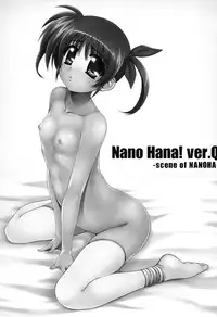 (C80) [Kossorikakuredokoro (Island)] Nano Hana! ver.Q -scene of NANOHA- (Magical Girl Lyrical Nanoha)