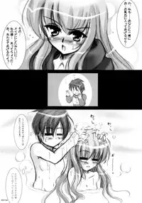 [C.R's NEST (C.R)] Siesta to Ofuro ni Hairitai (Zero no Tsukaima)