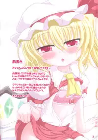 (C82) [Schwester (Inasaki Shirau)] Rollin 37 (Touhou Project)