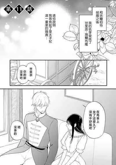 isekai de migawarihime ninari haou ni ubawaremashita | 在异世界成为了替身公主被霸王掳走了 1-12 end