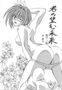 (CR34) [Red Ribbon Revenger (Makoushi)] Sorette Fushigi Mystery? (Various)