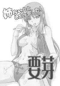 (C76) [Shikitenshi (Takahiro, Shironeko Sanbou)] Aneshita! Kaname (Nee, Chanto Shiyou yo!)