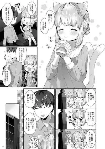 My Little Maid Soushuuhen
