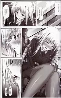 (C81) [IV VA SHIN (Mikuni Mizuki)] Home Sweet Home ~Fate hen 2~ (Mahou Shoujo Lyrical Nanoha)