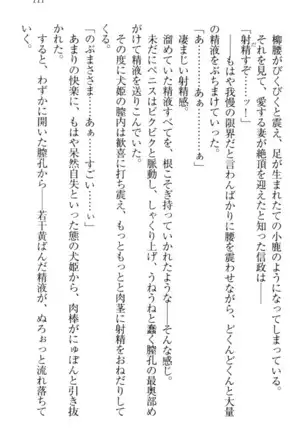 戦国犬姫!