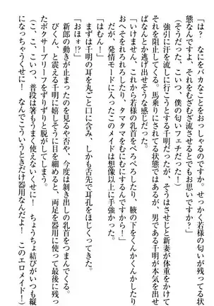 年上メイドの新婚日記
