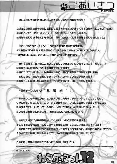 (C90) [Cat Expert (Nekousa)] Neko Puni! vol.12 [Chinese] [一匙咖啡豆汉化组]