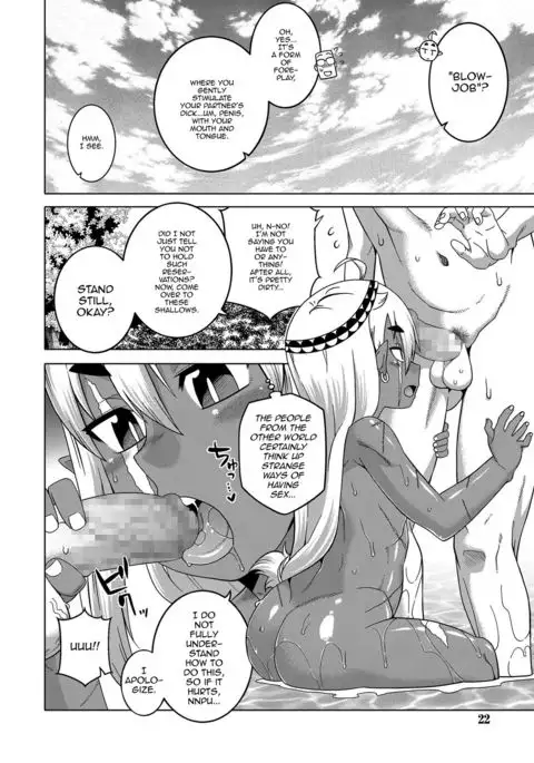 Isekai de Elf no Yuusha ga Yome ni natte kureru you desu!?