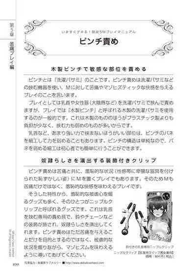 いますぐデキる 図説SMプレイマニュアル