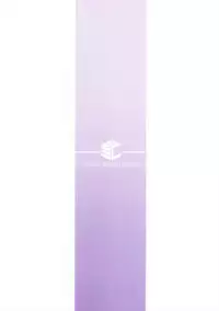 (C93) [S.S.L (Yanagi)] Chaldea Himitsu no Renai Shidou (Fate/Grand Order) [Chinese] [無邪気漢化組]