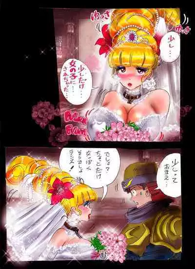 Injo ni Sareta Yuusha