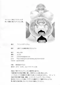 (C89) [HELL-ION (Yoshino.)] IN TO DELIRIUM (Touhou Project)