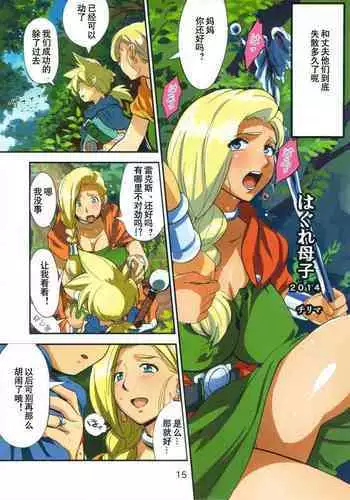 (C85) [VOLVOX (Chirima)] Hagure Boshi (Dragon Quest V) [Chinese] [臭鼬佬个人汉化001]